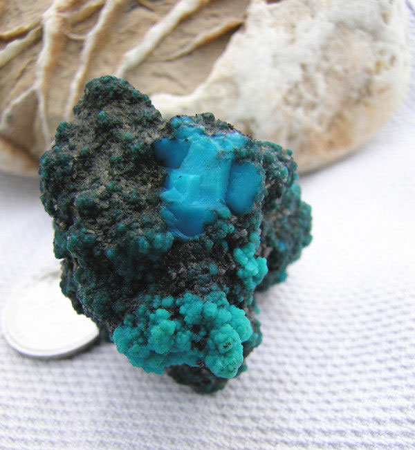 中国·永利yl23455(股份)有限公司-官方网站