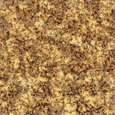 永利yl234552.0厚微晶石：浅金啡KFB88012单片