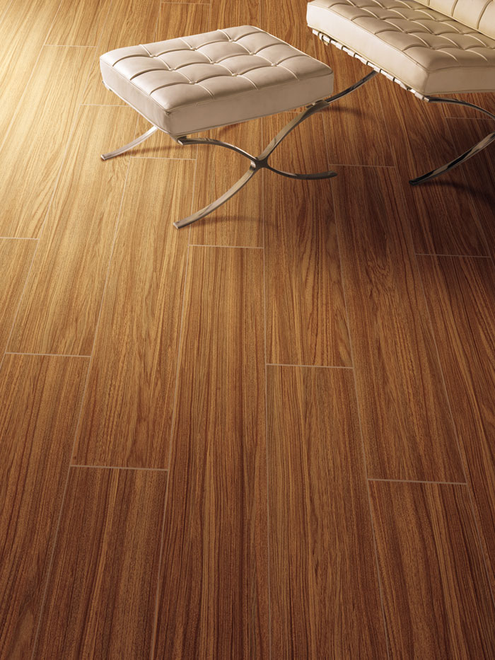 最美，，，不过当阳光遇上森林