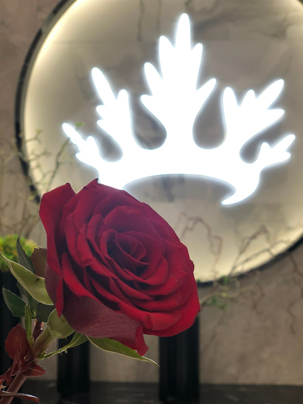 中国·永利yl23455(股份)有限公司-官方网站